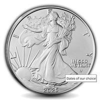 american silver eagle random year