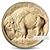 american gold buffalo random year