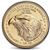 american gold eagle coin